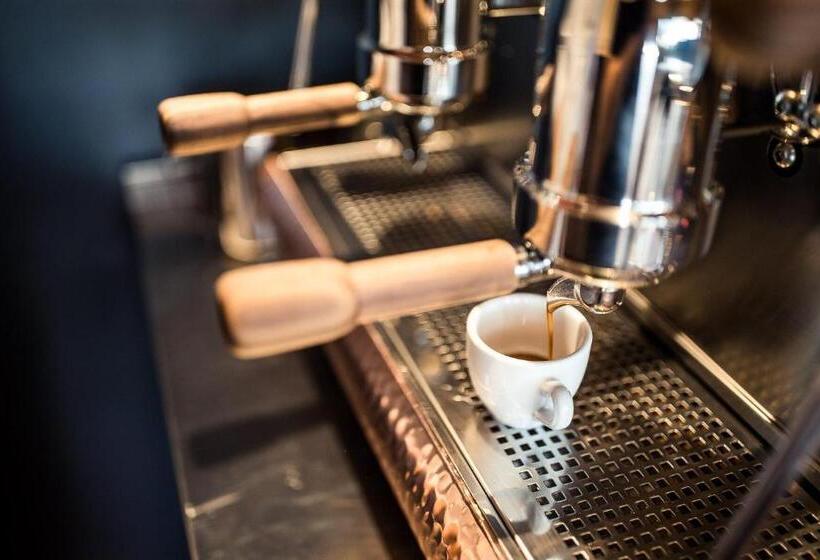 Sonus Alpis Adults Only