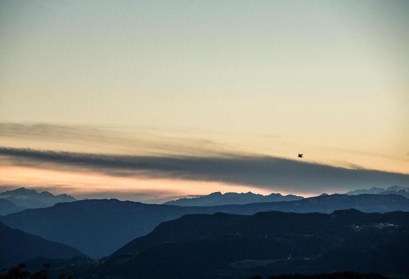 Sonus Alpis Adults Only