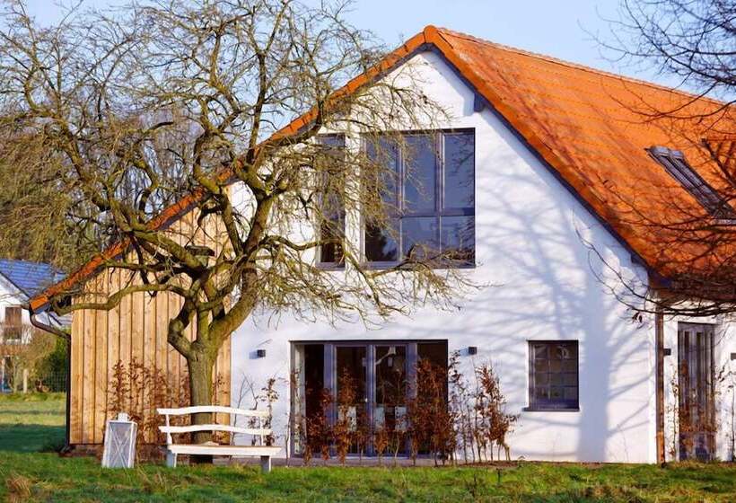 膳宿费 Gästehaus Drostenhof