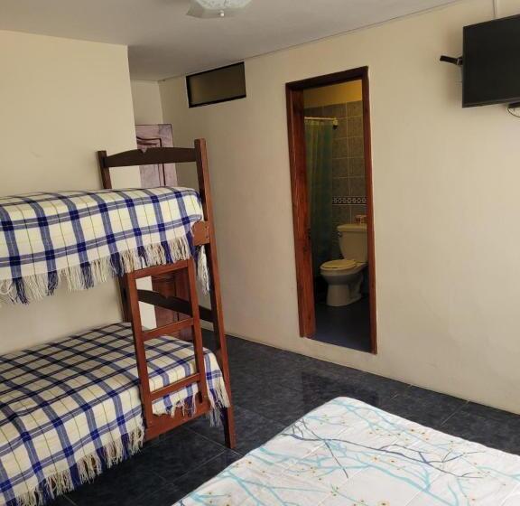 بنسيون Hostal Haziel