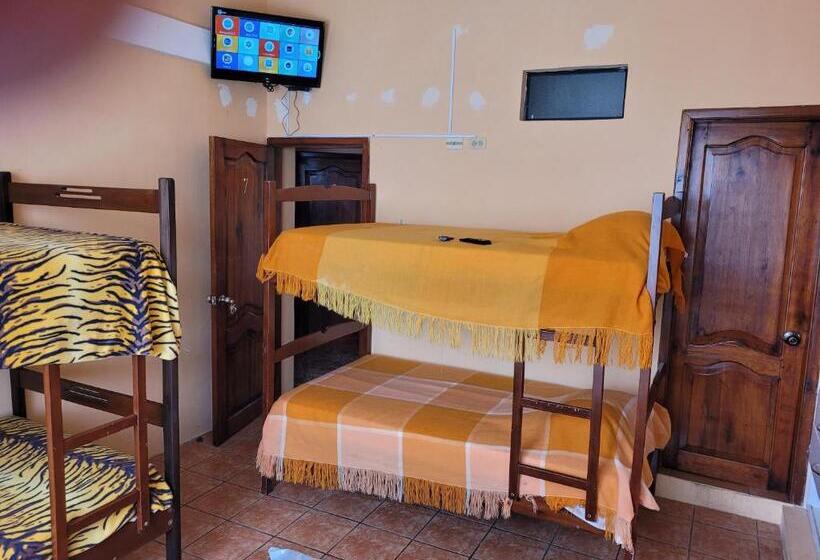 بنسيون Hostal Haziel