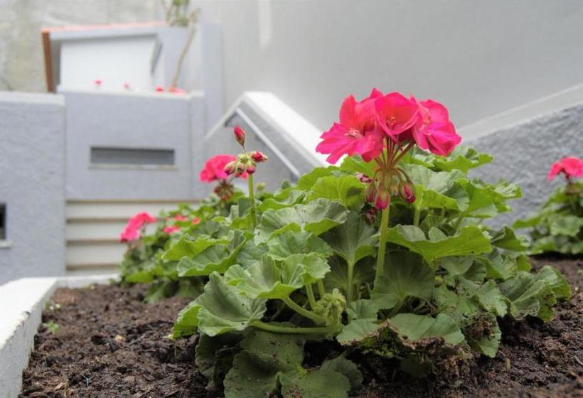 Apartamentos Turísticos Vitoria By Petit Hotels