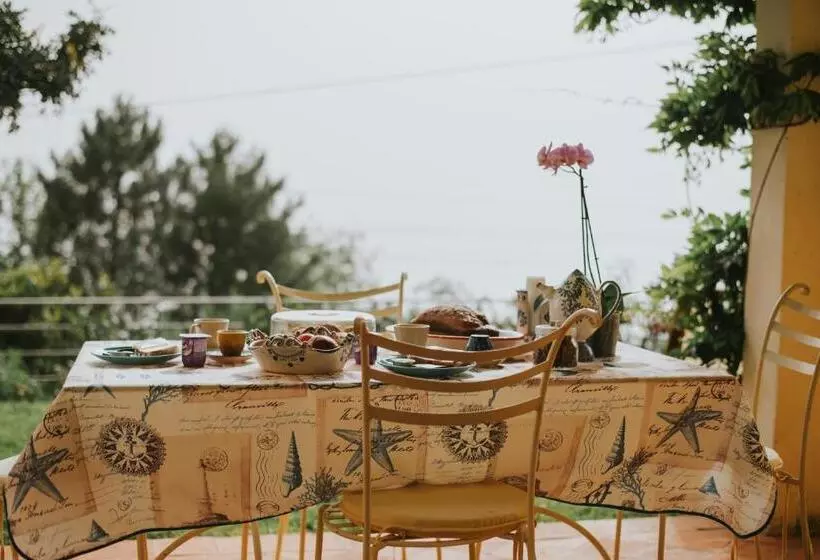 B&b Calandrella