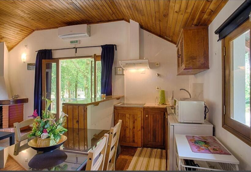 Bungalows Termas De Melgaço