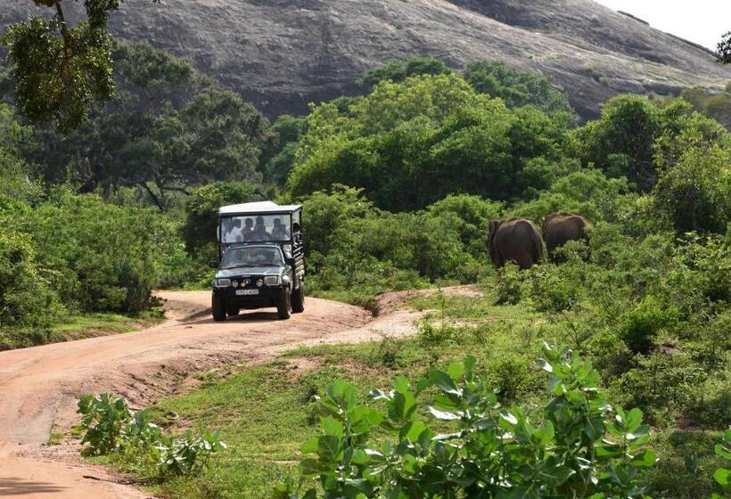 پانسیون K Holiday