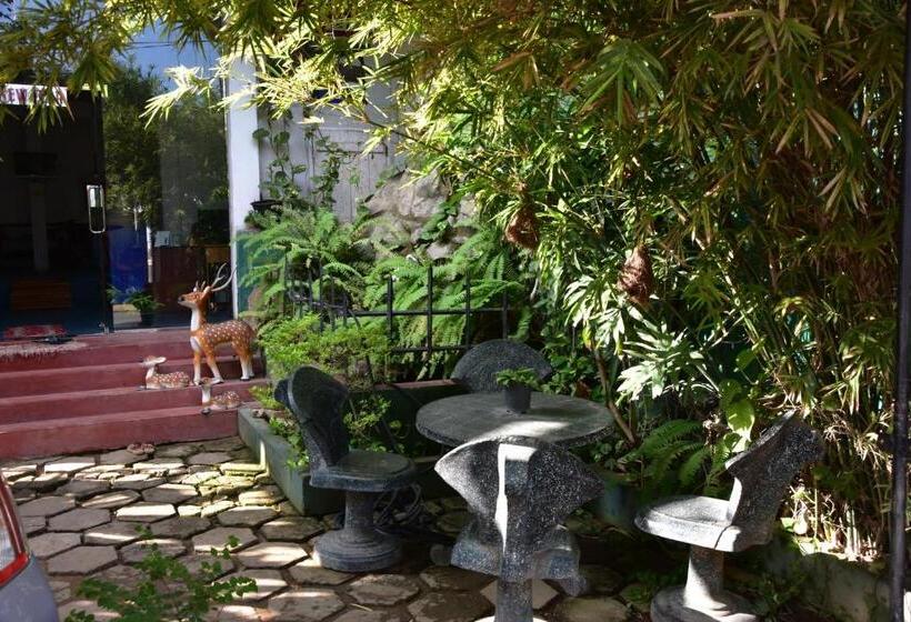 پانسیون K Holiday