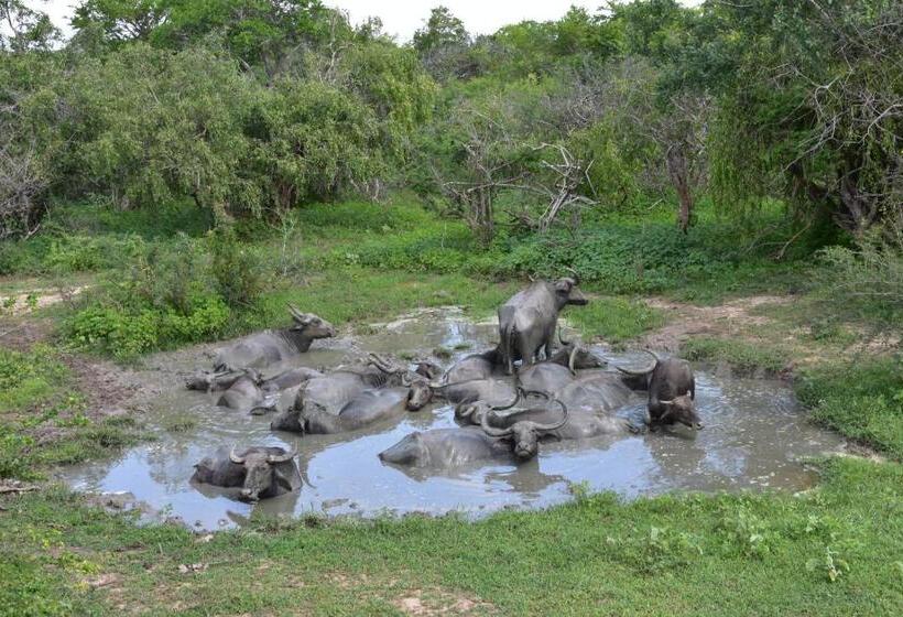 پانسیون K Holiday