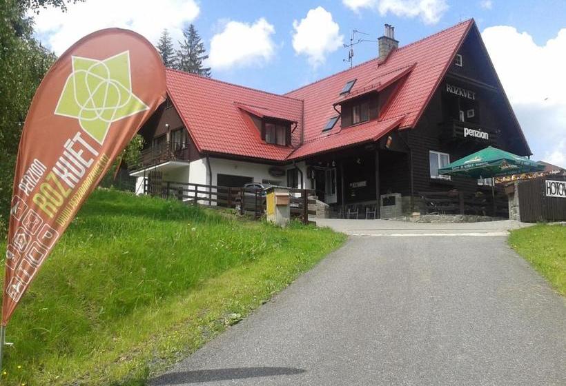 Pension Penzion Rozkvet