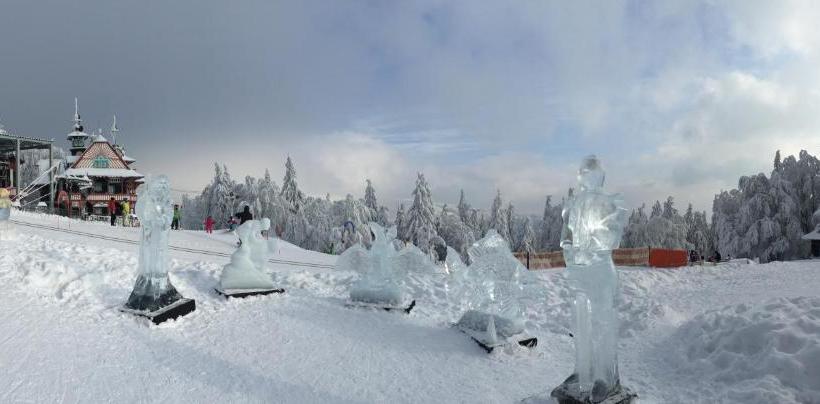 Pension Penzion Rozkvet