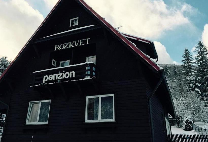 Pension Penzion Rozkvet