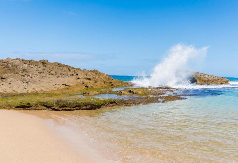 هاستل Coastal Express Inn & Suites #1 At 681 Ocean Drive