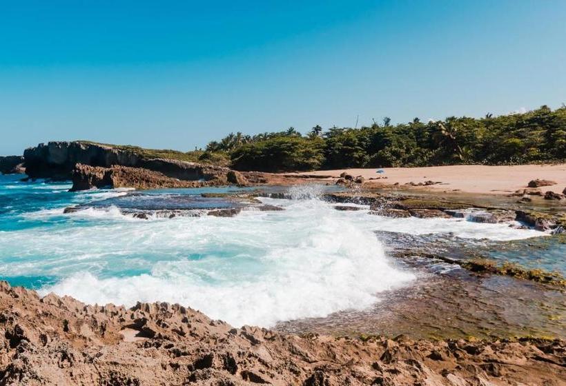 هاستل Coastal Express Inn & Suites #1 At 681 Ocean Drive