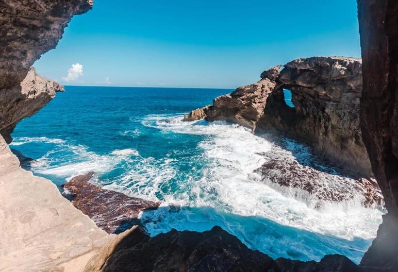 هاستل Coastal Express Inn & Suites #1 At 681 Ocean Drive