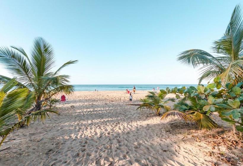 هاستل Coastal Express Inn & Suites #1 At 681 Ocean Drive