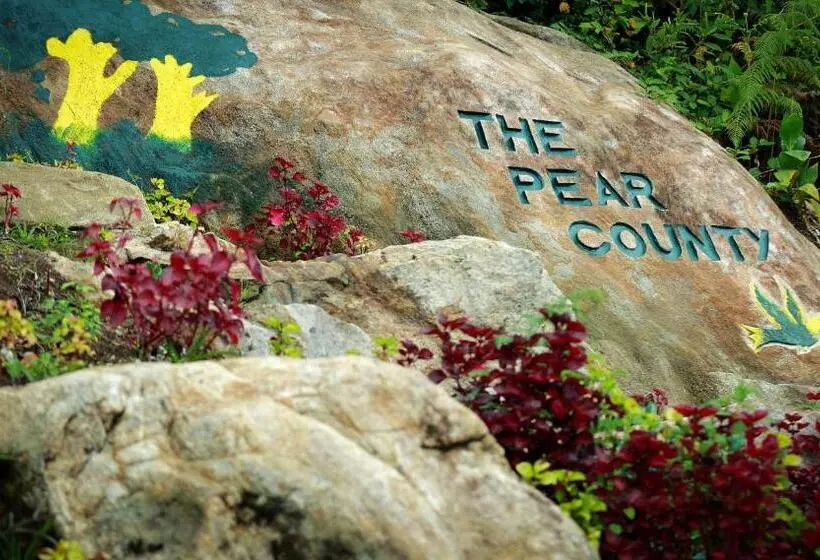 هتل The Pear County
