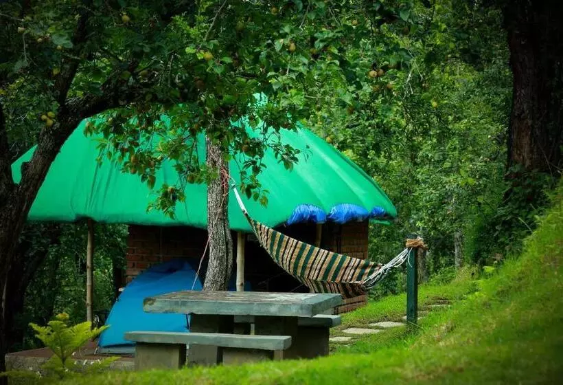 هتل The Pear County
