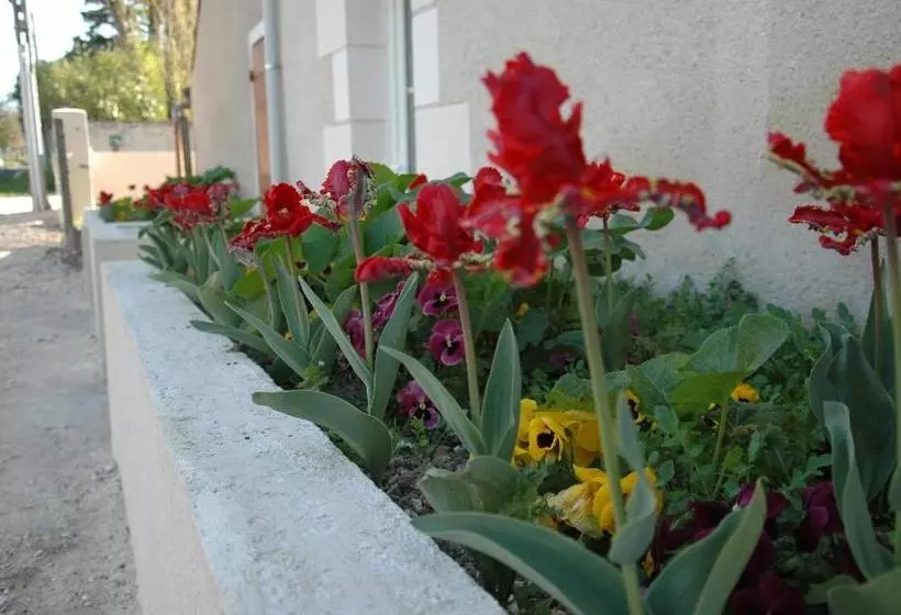 پانسیون Aux Roses Tremières