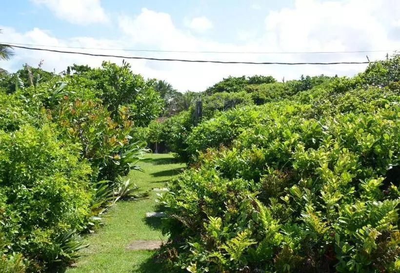 ペンション Casa Da Ilha Do Mel   Pousada De Charme