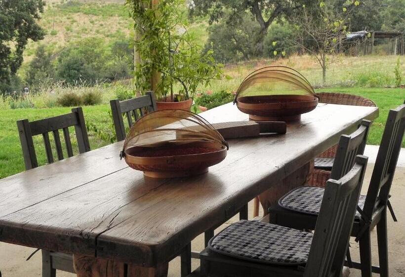 בית מלון כפרי Agriturismo Sugheretello