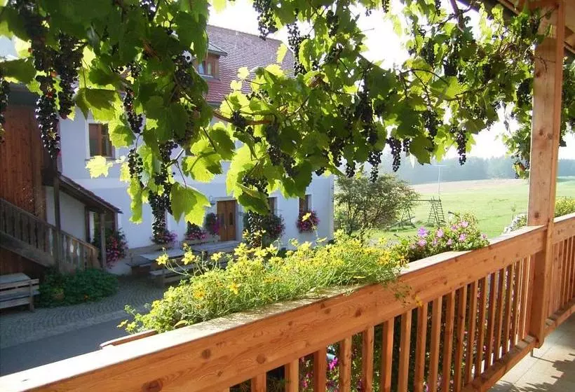 Hotel Hanauerhof