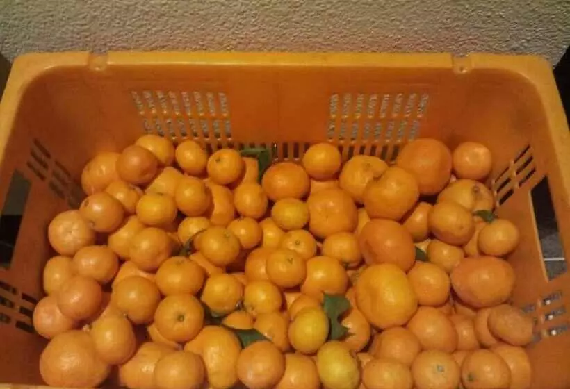 Majatalo Jeju Mimong