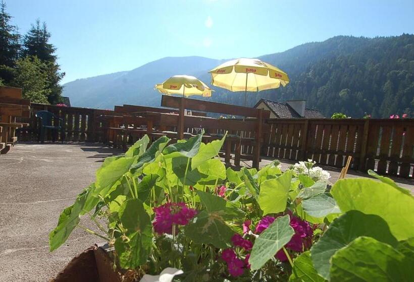 호스텔 Alpengasthof Grobbauer