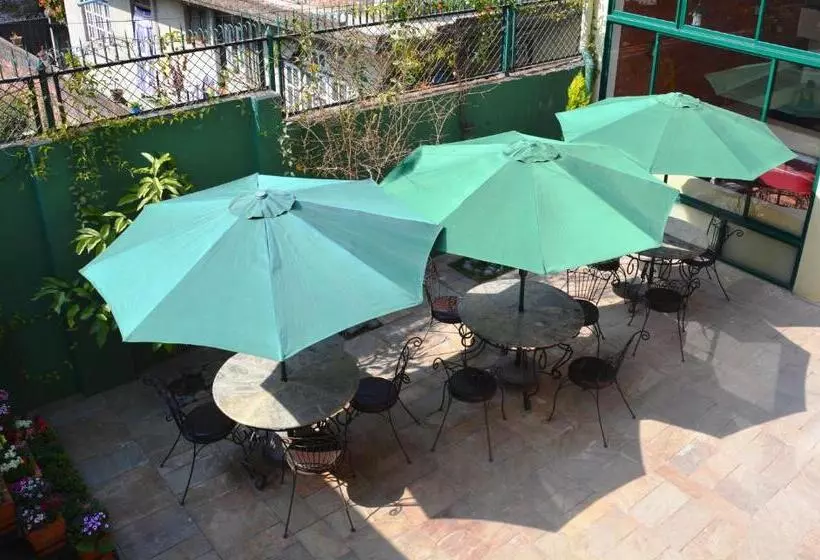 پانسیون Dondrub Guest House