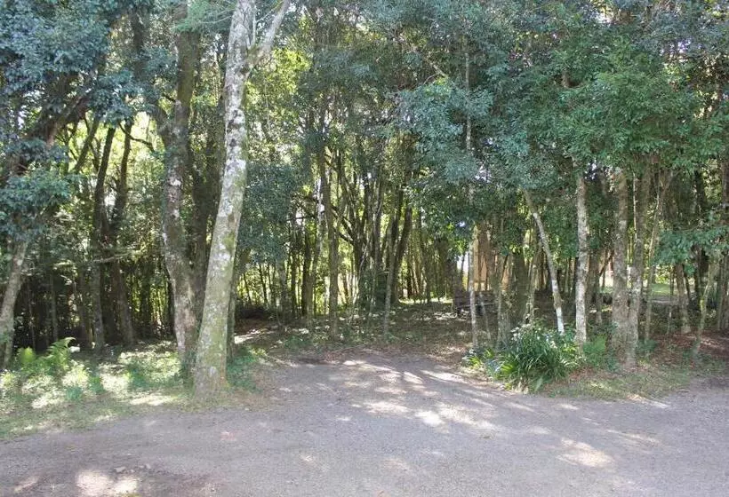 پانسیون Pousada Floresta Negra