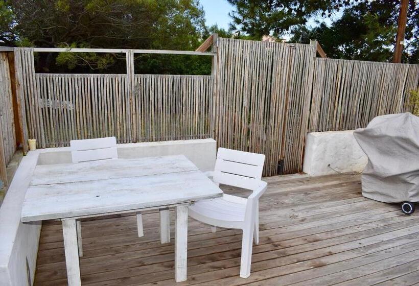 پانسیون The Green Palm Cottage