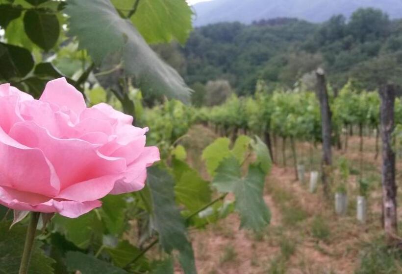 פנסיון Cà De Lelio