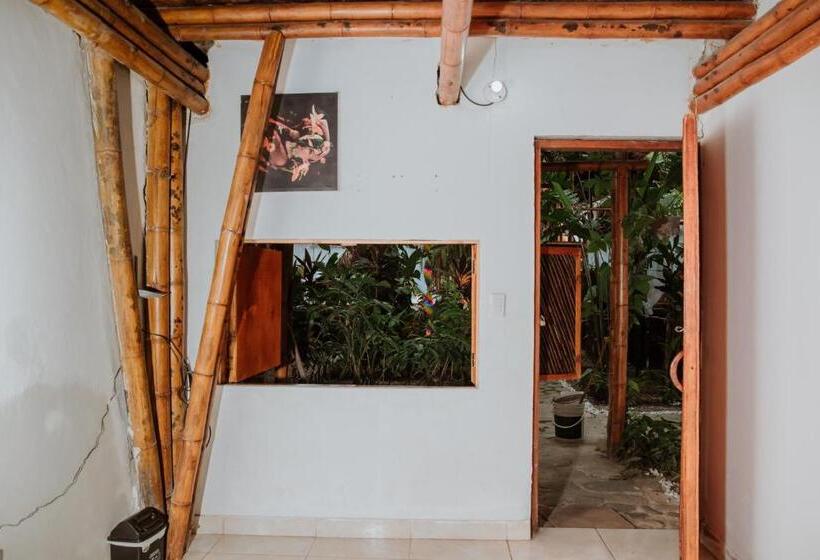 پانسیون Kasakolà