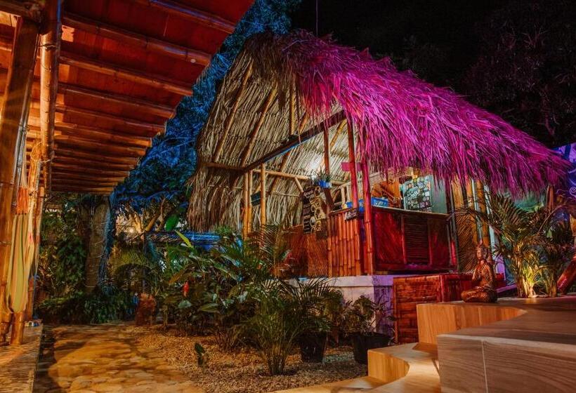 پانسیون Kasakolà