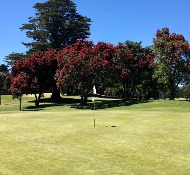 Pansiyon Mauao Studio