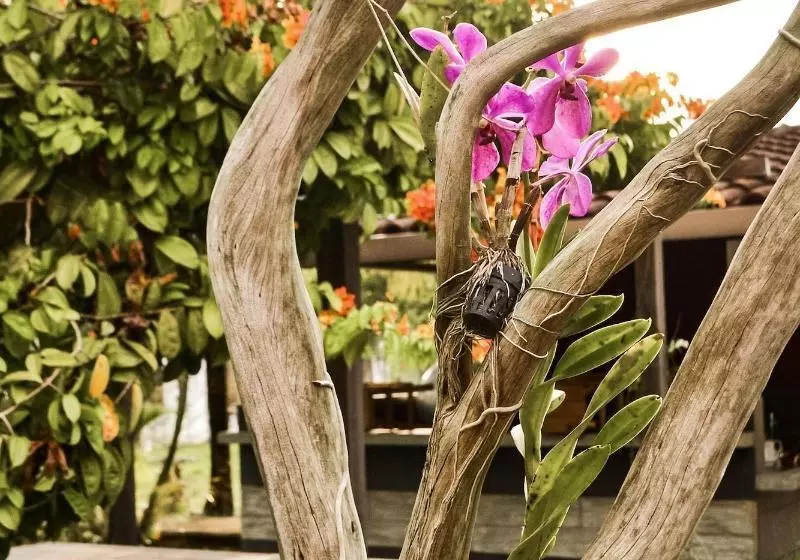 پانسیون Qi  And Club