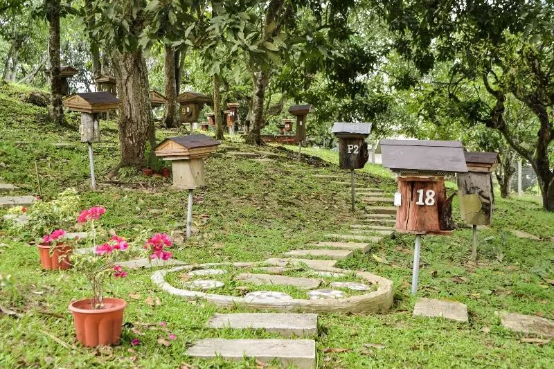 پانسیون Qi  And Club