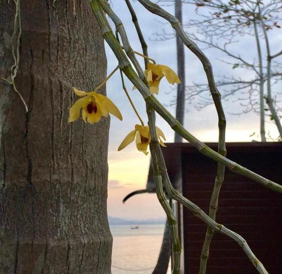 پانسیون Somphoch Garden