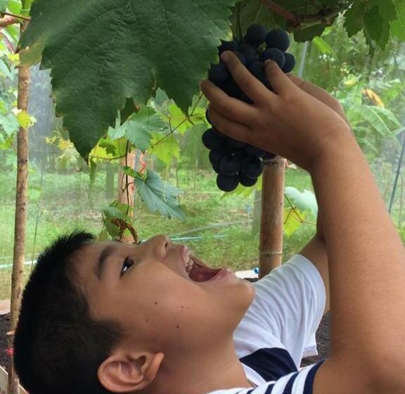 پانسیون Somphoch Garden