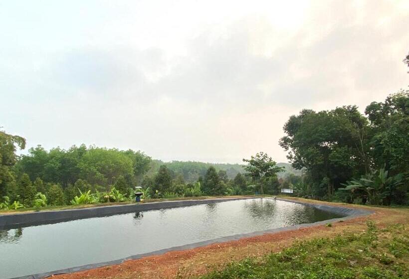 پانسیون Somphoch Garden