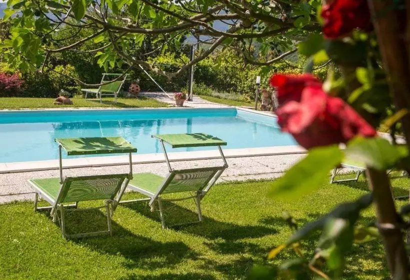 ホテル Agriturismo B&b Bio La Tana Del Lele