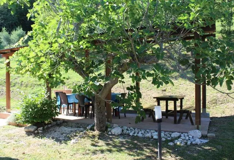 ホテル Agriturismo B&b Bio La Tana Del Lele
