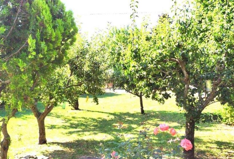 فندق Agriturismo B&b Bio La Tana Del Lele