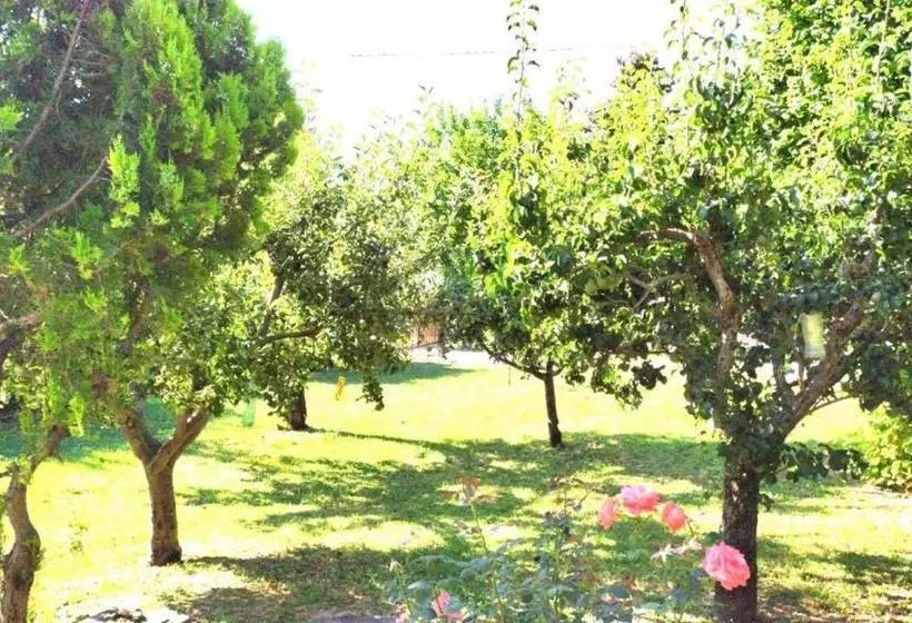 ホテル Agriturismo B&b Bio La Tana Del Lele