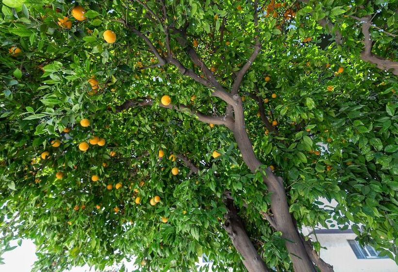 בית מלון כפרי Le Blanc Inn & Suites