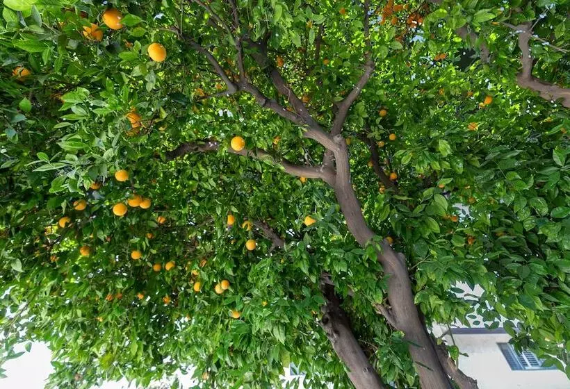 Hotelli Le Blanc Inn & Suites