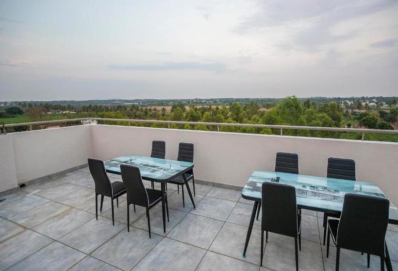 Hotel Collection O 30599  Blue Spring