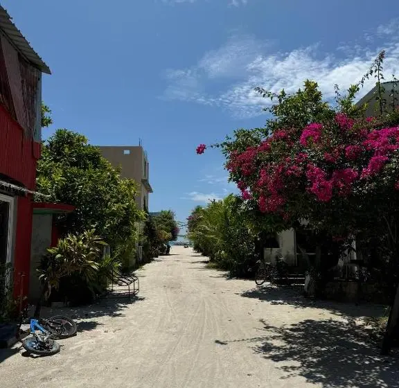 هاستل Oya Maldives Himmafushi
