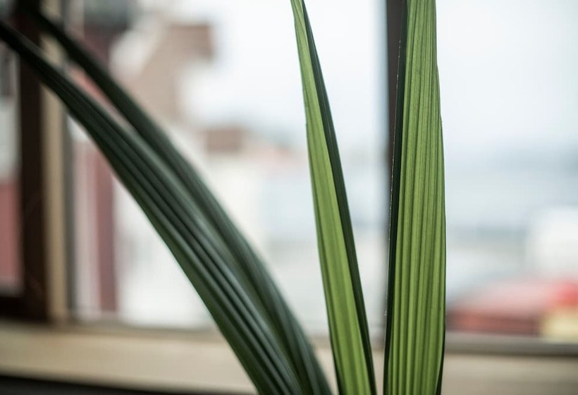 ホテル Eilert Smith