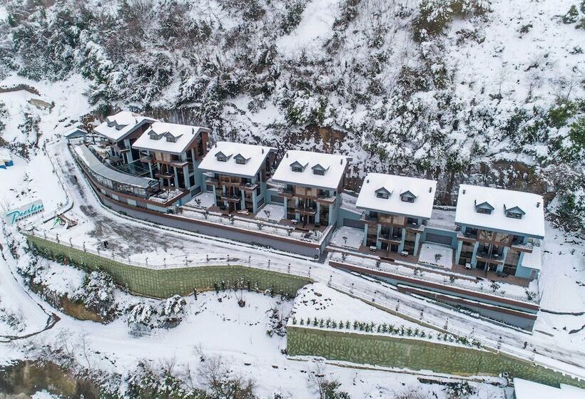 酒店 Peerless Villas