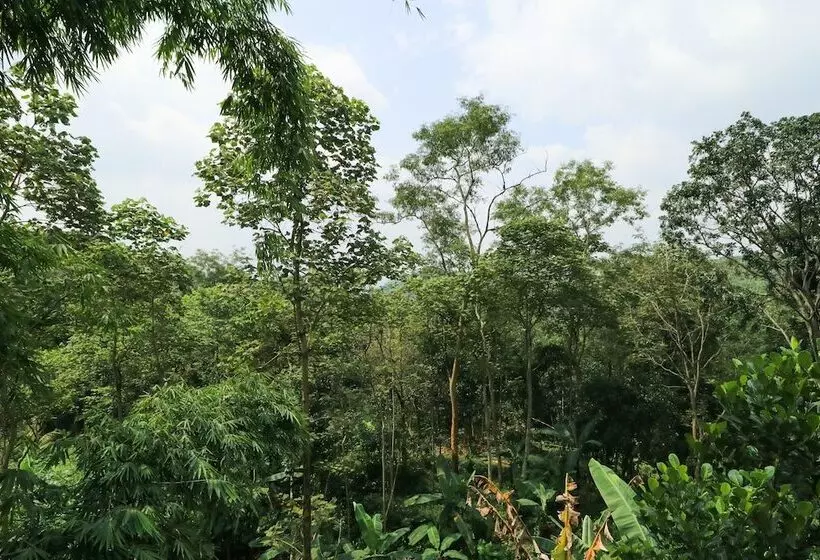 Majatalo Penginapan Villa Surya Alam