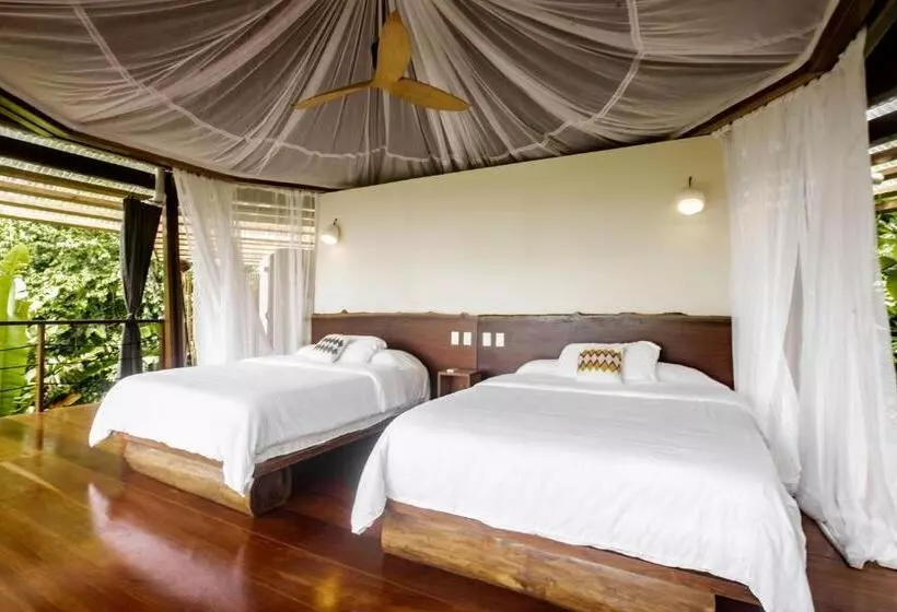 ユースホステル La Loma Jungle Lodge And Chocolate Farm